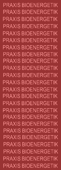 logo_praxis